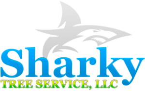 Sharky Tree Full Logo