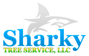 Sharky Tree Full Logo Outline